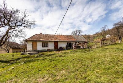 FILM! Pe domeniu de 6.500 mp teren, casa parinteasca, in mag - 11