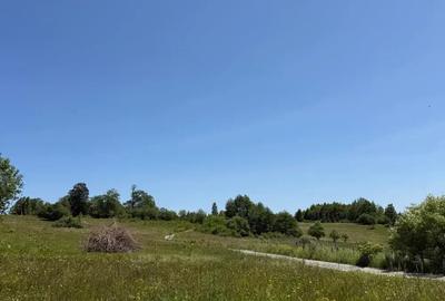 Teren de 1820 mp, în Rogojel - 8