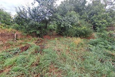 Vand Casa batraneasca Horlesti-Rediu - 1