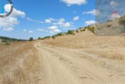 Teren extravilan Loc. Bucovat sat Sarbatoarea, jud. Dolj - 2