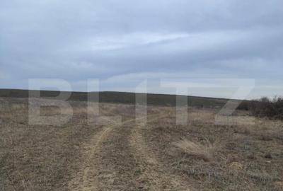 Teren intravilan industrial, 14458mp, centura de Est - 7