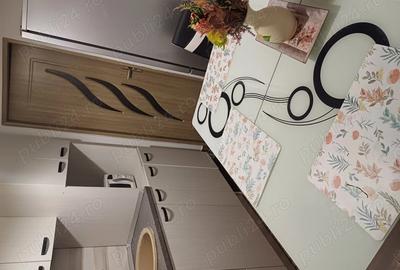 Inchiriez apartament Dristor Park lake - 7