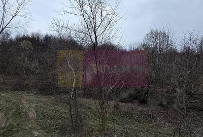 Teren agricol extravilan de 1006 mp, în Brebu - 6