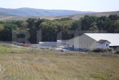 Hale si teren ,curte betonata , destinatii multiple - 4