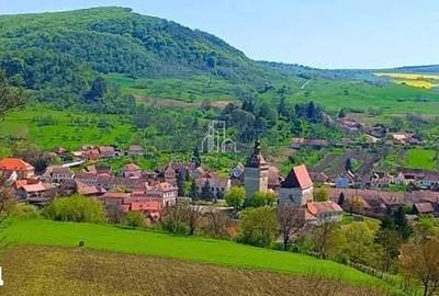 Teren de 110000 mp, în Saschiz