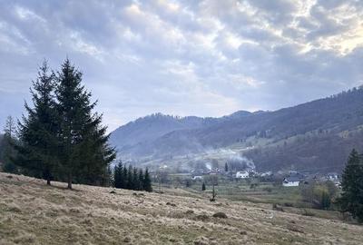 Teren de 1000 mp, în Mălini - 1