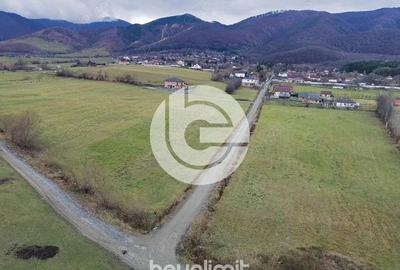 Teren intravilan in Tocile - 4354 m2 - 2 fronturi - oferta competitiva - 13