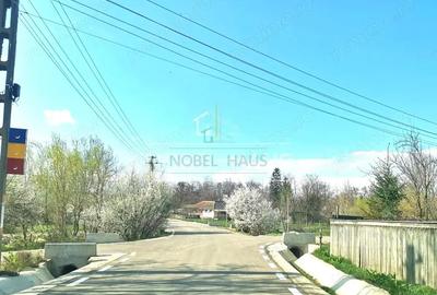 Casă cu Teren 4600 Mp în Sârbi - 2