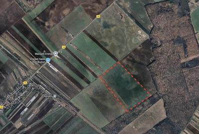 Teren de 270000 mp, în Tărtășești - 3