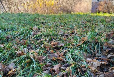 Teren Construcții intravilan de 800 mp, în Central - 4