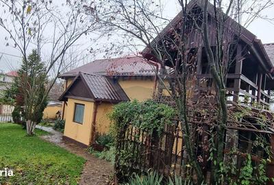 Casă cu 8 camere cu Teren 1000 Mp în Belciugatele - 4