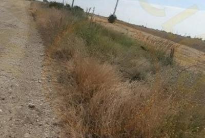 Teren de 3067 mp, în Bradu