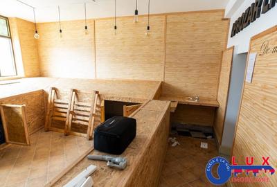 ID 6137 Spa?iu DE VANZARE STRADA Mahmudiei - 2