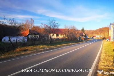 Teren de 4055 mp, în Păușești - 6