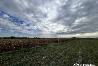 Teren 26.000mp, halta Rascruci drum european E576, jud. Cluj - 3