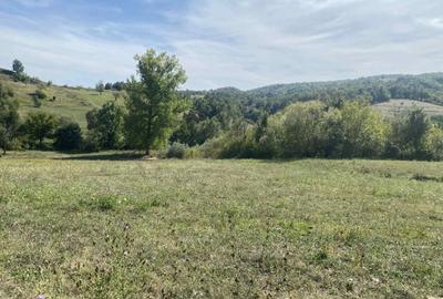 Casa de vanzare+teren - 8