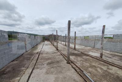 Teren intravilan cu constructie din caramida in Cheriu langa - 4