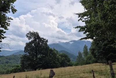 Teren extravilan 13.800 mp Ra?nov, Glajarie priveli?te superba, oportunitate de investi?ie Teren extravilan 13.800 mp Ra?nov, Glajarie priveli?te superba, oportunitate de investi?ie - 6