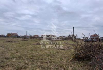 Teren intravilan 500mp Mandruloc - 5