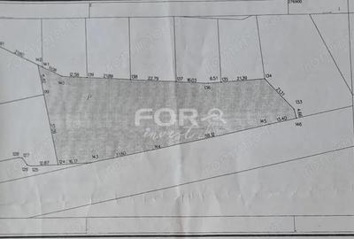 Teren de inchiriat 4000mp in Osorhei - 0.5 euro/mp - 2
