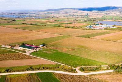 FILM! 18.000 mp,extravilan,agricol constructii, recomandat:f - 11