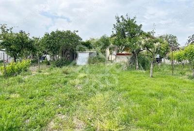 Casa cu teren 2052 mp in Saldabagiu de Munte - 13