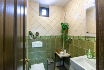 Apartament cu 6 camere decomandat în Kiseleff - 26