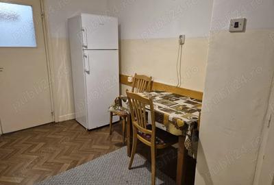Dau in chirie apartament cu 2 camere in CentruNou - 9
