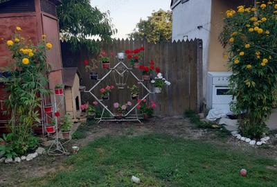 Casă cu 6 camere cu Teren 1401 Mp în Alioș - 1