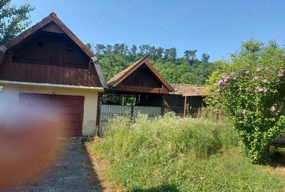 Casa cu gradina in Blaj - 8