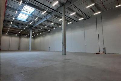 Spațiu comercial, de 2,500 mp, în Florești - 14