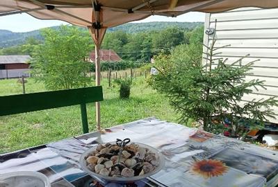 Teren Construcții intravilan de 1200 mp, în Alunișu (Băiculești) - 8