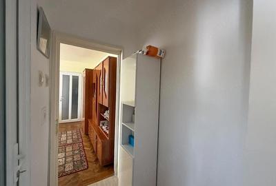 Apartament cu 2 camere semidecomandat în Gojdu - 8