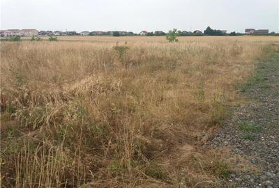 Spațiu comercial, în Sânandrei - 1