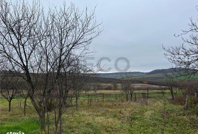 Teren de 500 mp, în Hidiș - 2