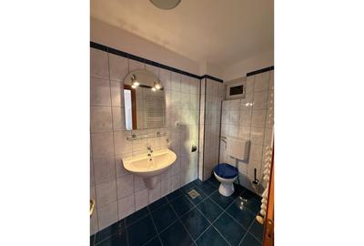 REV2004592 Ion Mihalache l Vila l 370 mp l 5 camere - 18