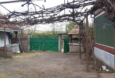 Casă cu 3 camere în Central - 2