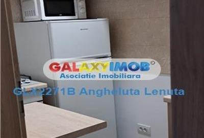 Drumul Taberei Bld 1 Mai garsoniera de inchiriat - 6