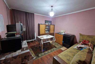 Casă cu Teren 4657 Mp în Șoșdea - 9