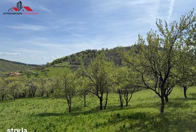 Teren de 8330 mp, în Vințu de Jos - 1