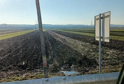 Teren de 12500 mp, în Brănești - 1
