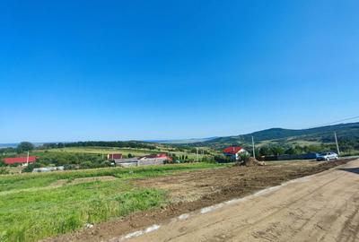 Teren de 1000 mp, în Tomești - 5