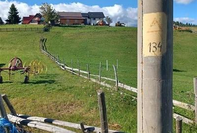 Teren Intravilan Fundata 1421Mp - 3