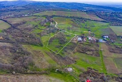 Teren Construcții intravilan de 33500 mp, în Valea Orlei - 12