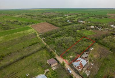 LETCA NOUA, TEREN CONSTRUCTII 1184 MP, FRONT 21 M ! - 12