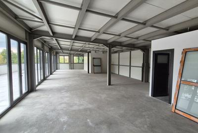 Spatiu comercial 125 mp utili + 100 mp terasa - Basarabia - Muncii - 3