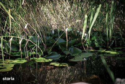 Casă cu 5 camere cu Teren 1300 Mp în Corunca - 3