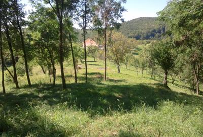 Teren livadă cu panoramă superbă Dealul Malului pentru casă sau cabană - 8