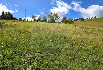 Teren de vis in Fundata 1934mp sau 3868mp, la inal?im... - 9