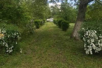 Traie?te la marginea padurii! Casa, 3.200 mp curte + 2.000 mp PADURE proprie in Apostolache! - 2